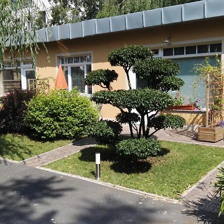 Fewo 2 Dresden Ngoại thất bức ảnh